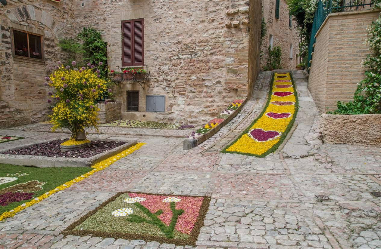 L'infiorata di SPELLO e ASSISI