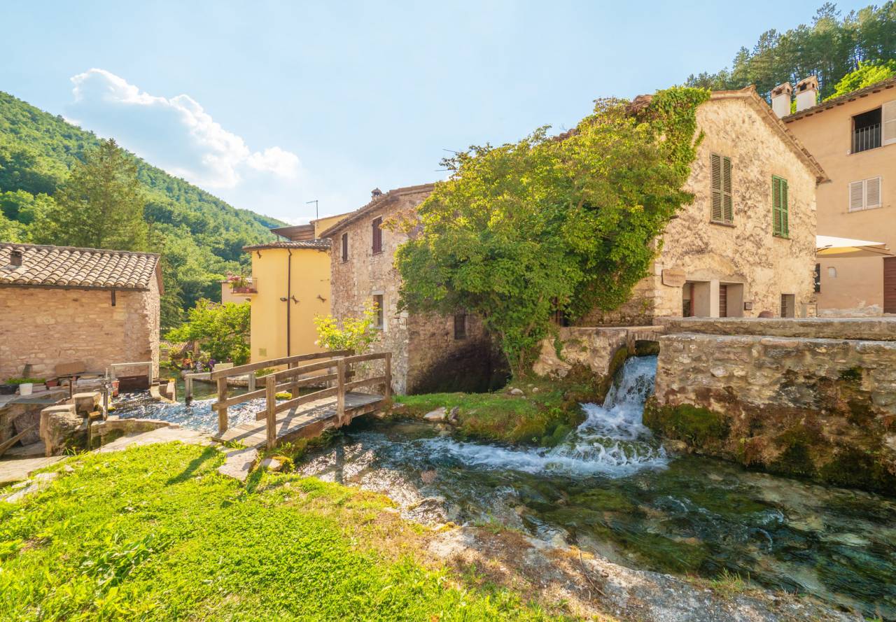 LA FIORITURA DI CASTELLUCCIO DI NORCIA, FOLIGNO E RASIGLIA