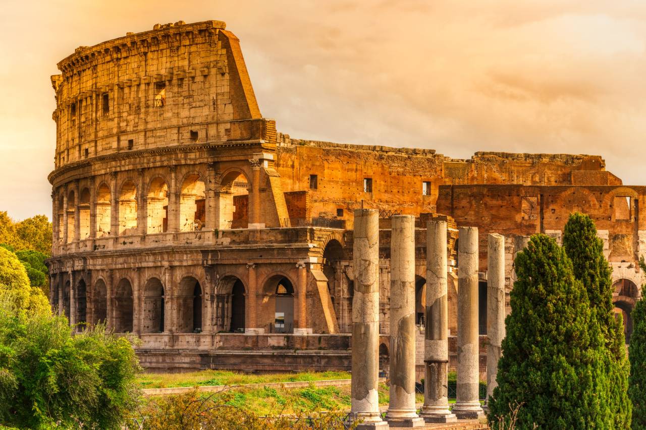 ROMA in libertà nell'atmosfera natalizia